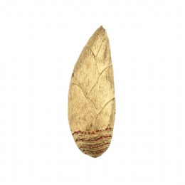 小竹