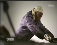 本草中华栏目1
