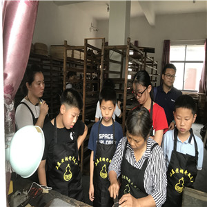 往期研学精彩回顾